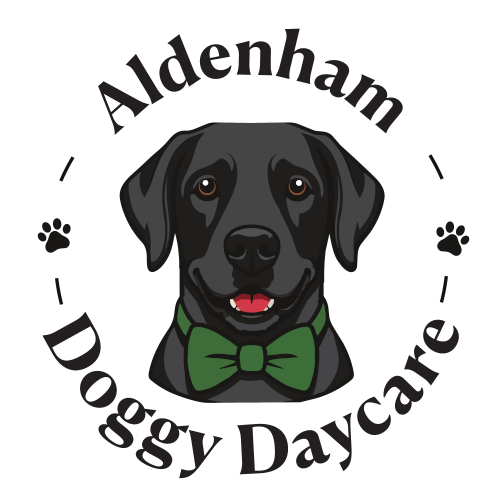 Aldenham Doggy Day Care